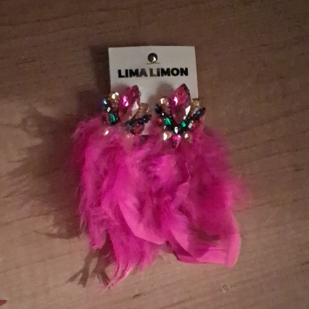 Pink Feather Earrings